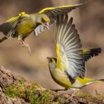 *Per Manu, per Juan, per un’autodifesa collettiva*