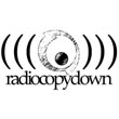 logo radio copydown