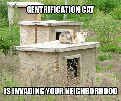 gentrification cat