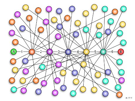 Come le reti rivoluzionano il pensiero scientifico (e forse quello umano)