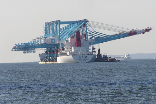 Zhen Hua 10