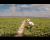 farm