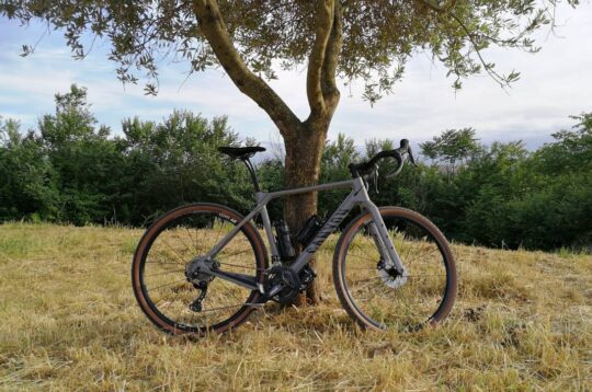 Canyon Grizl visione d'insieme