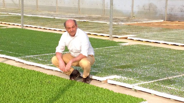 Guglielmo Alessio