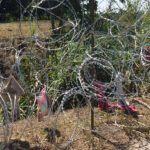 Appello a dieci giorni di mobilitazione contro frontiere e razzismo di Stato in occasione del processo per i fatti del Brennero