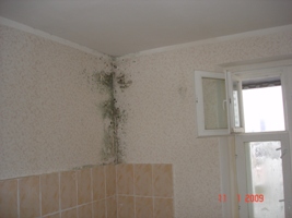 dsc03245