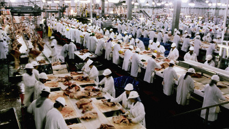 L'impatto ambientale della produzione di carne bovina L'impatto ambientale della produzione di carne bovina