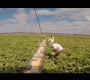 farm