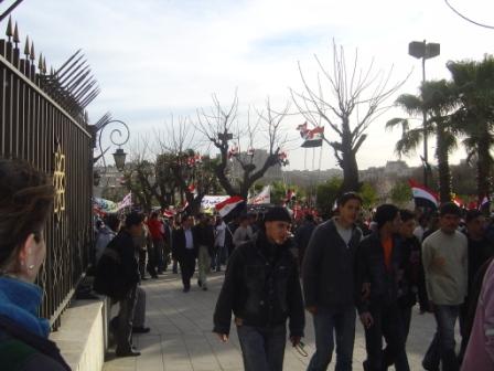 manifestazione pro b...