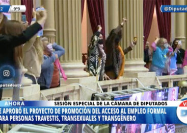La inclusión laboral travesti trans de Argentina obtuvo media sanción en Diputados