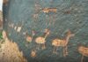 Comunidad indígena denunció que dañaron petroglifos y pictogramas en un sitio arqueológico jujeño