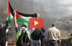 Patrick Corsi shot by IDF