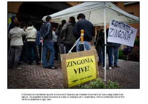 zingonia-11