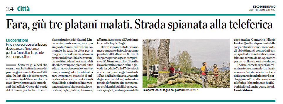 Nuova immagine (3)